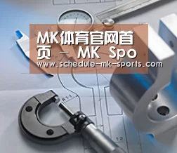 研发能力标题一