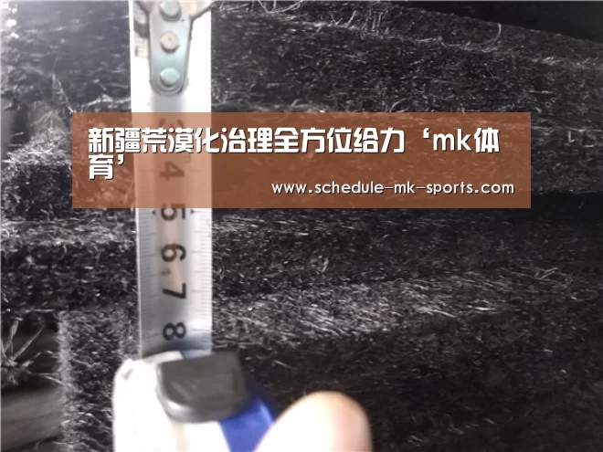 新疆荒漠化治理全方位给力‘mk体育’(图3) mk体育