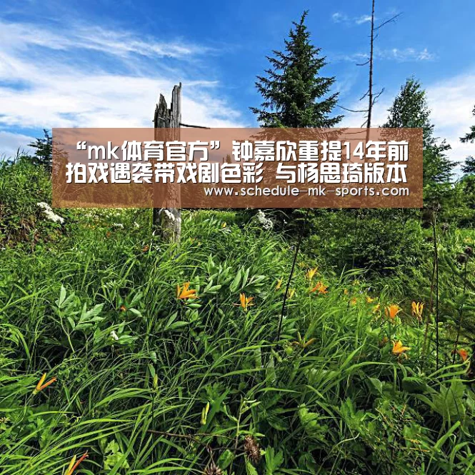“mk体育官方”钟嘉欣重提14年前拍戏遇袭带戏剧色彩 与杨思琦版本有出入(图3) mk体育官方