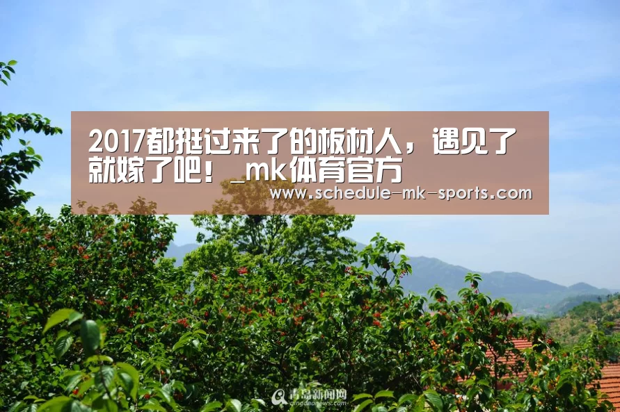 mk体育官方