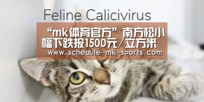 mk体育官方