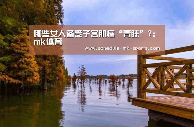 mk体育官方
