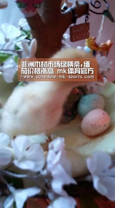 mk体育