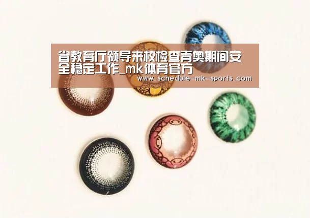 省教育厅领导来校检查青奥期间安全稳定工作_mk体育官方(图1) mk体育