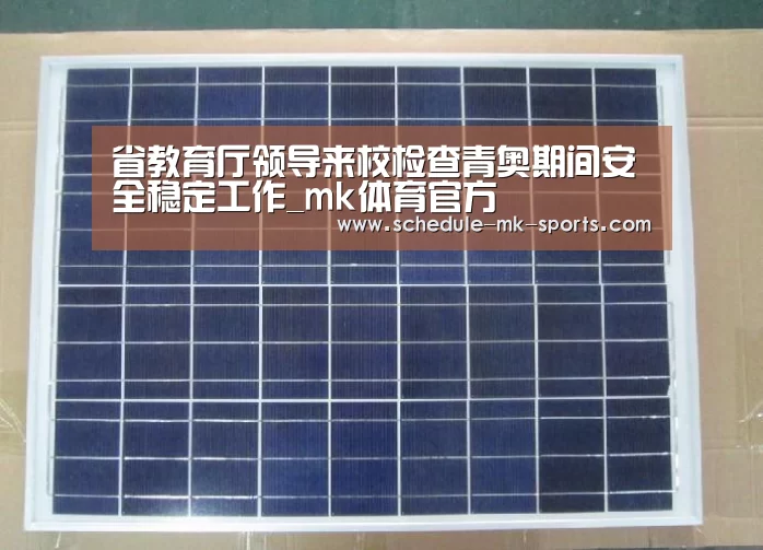 省教育厅领导来校检查青奥期间安全稳定工作_mk体育官方(图2) mk体育官方