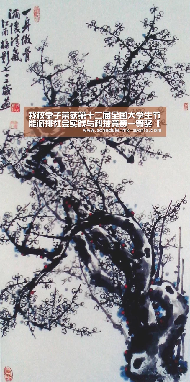 我校学子荣获第十二届全国大学生节能减排社会实践与科技竞赛一等奖【mk体育】(图1) mk体育