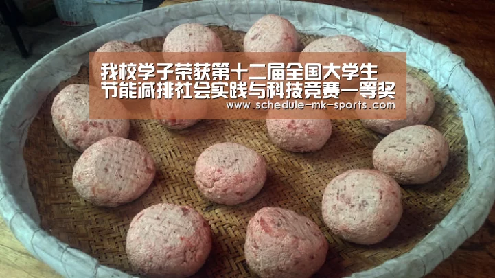 我校学子荣获第十二届全国大学生节能减排社会实践与科技竞赛一等奖【mk体育】(图4) mk体育
