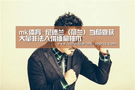 mk体育-尼德兰(荷兰)当局查获大量非法入境缅甸柚木(图1) mk体育