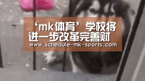 mk体育