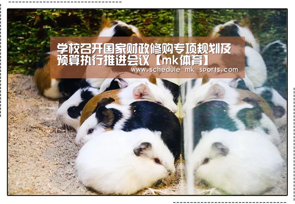 学校召开国家财政修购专项规划及预算执行推进会议【mk体育】(图1) mk体育
