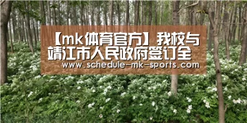 mk体育